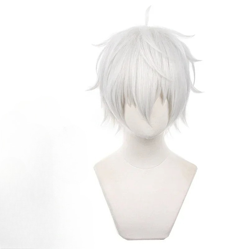 อะนิเมะเซย์ชิโระ นางิคอสเพลย์ว - Cosplay Anime White Hair บทวิจารณ์และราคา