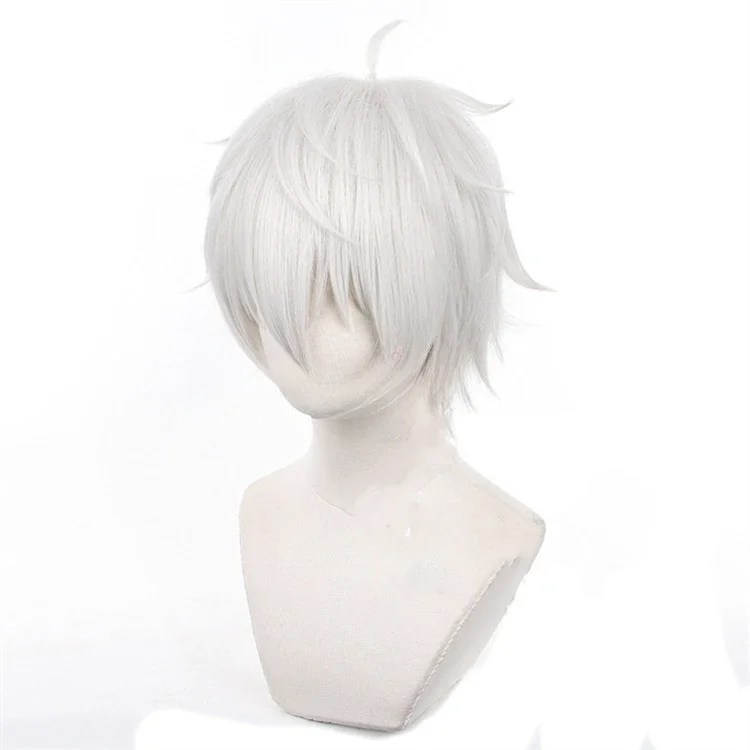 อะนิเมะเซย์ชิโระ นางิคอสเพลย์ว - Cosplay Anime White Hair บทวิจารณ์และราคา
