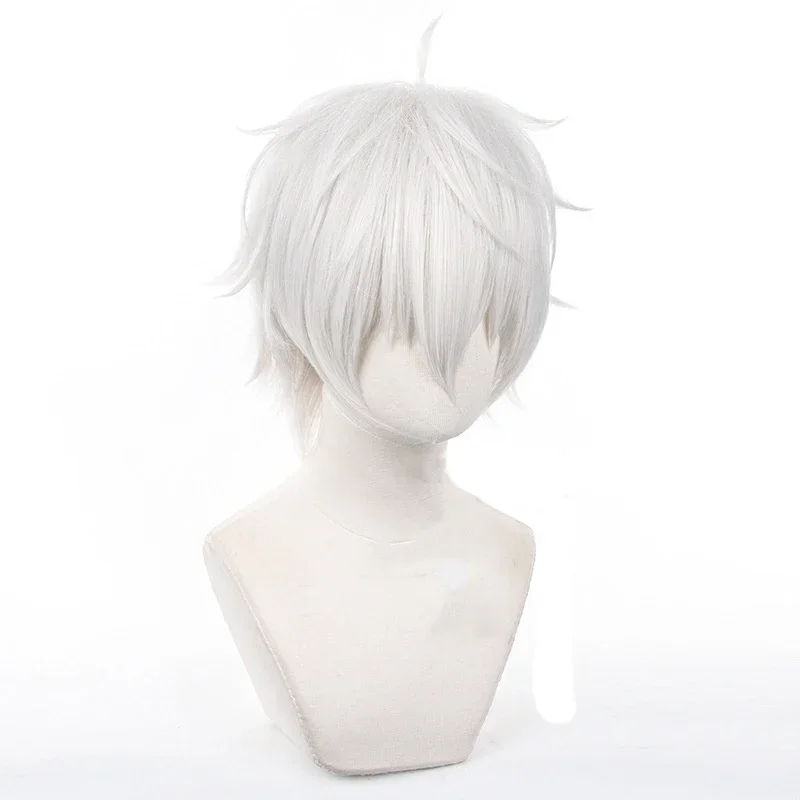 อะนิเมะเซย์ชิโระ นางิคอสเพลย์ว - Cosplay Anime White Hair บทวิจารณ์และราคา