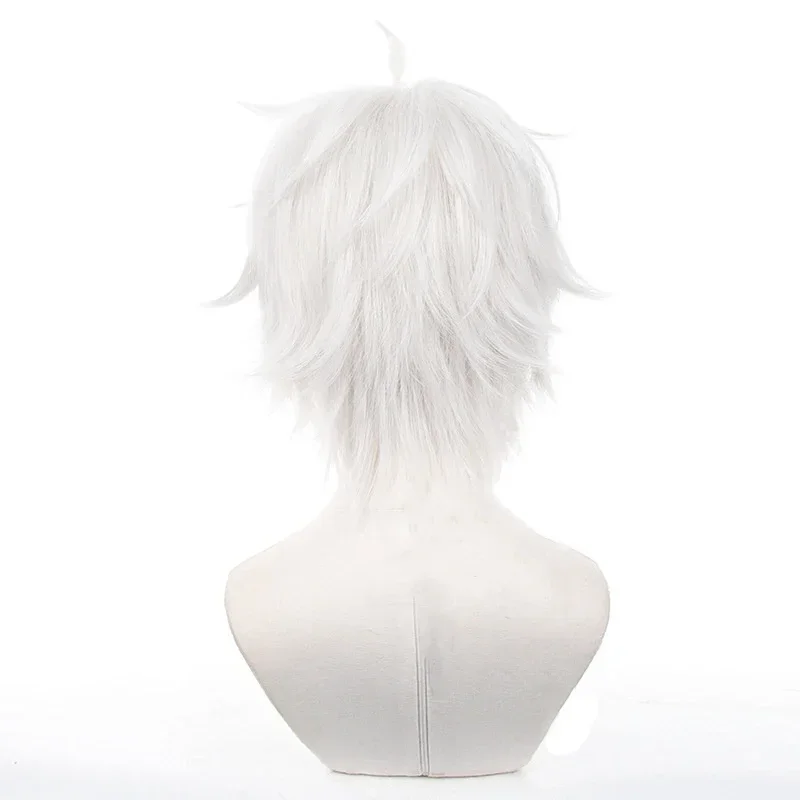 อะนิเมะเซย์ชิโระ นางิคอสเพลย์ว - Cosplay Anime White Hair บทวิจารณ์และราคา